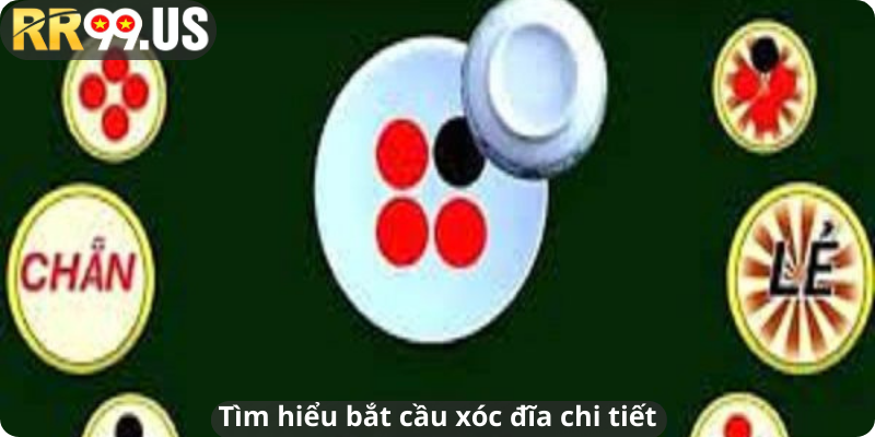 Tìm hiểu bắt cầu xóc đĩa chi tiết