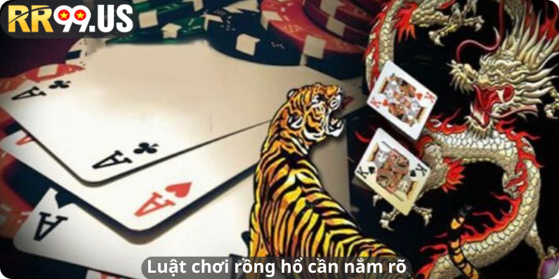 Luật chơi rồng hổ cần nắm rõ