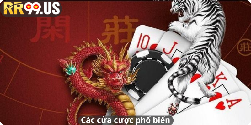 Các cửa cược phổ biến