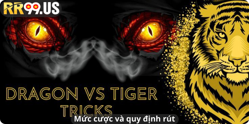 Mức cược và quy định rút