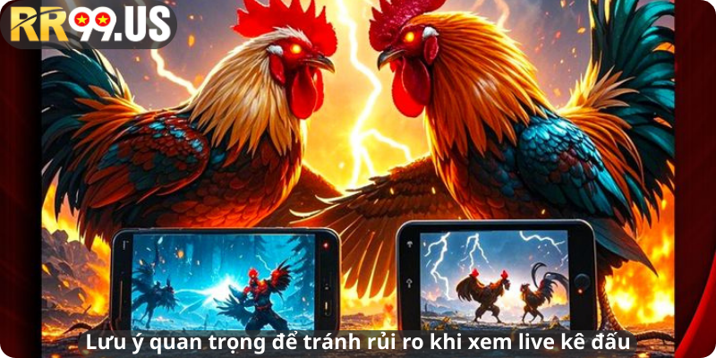 Lưu ý quan trọng để tránh rủi ro khi xem live kê đấu