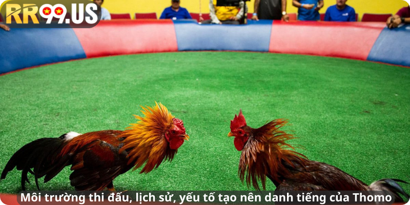 Môi trường thi đấu, lịch sử, yếu tố tạo nên danh tiếng của Thomo