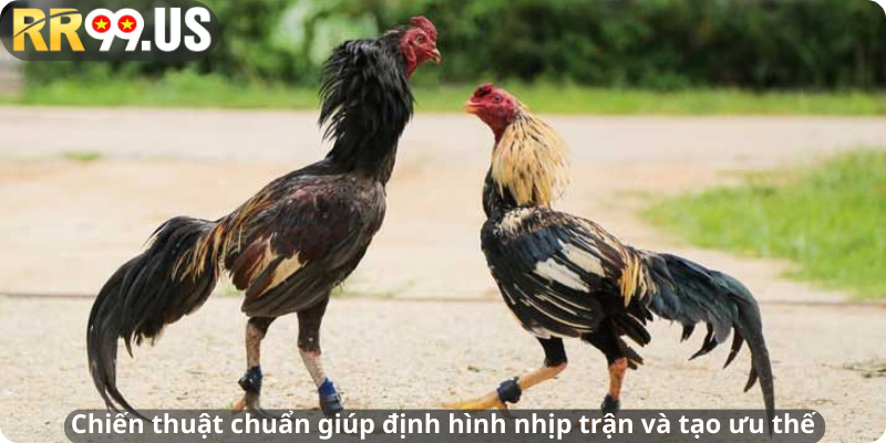 Chiến thuật chuẩn giúp định hình nhịp trận và tạo ưu thế