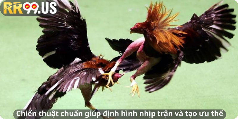 Chiến thuật chuẩn giúp định hình nhịp trận và tạo ưu thế